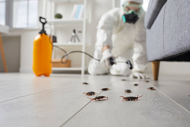 Post-Treatment Bed Bug Interceptor Monitoring in Homeland Park