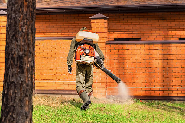 Bed Bug Clearance Verification and Documentation in Homeland Park